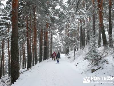 Ruta arroyo de la Chorranca; senderismo gratis madrid;trekking y senderismo 